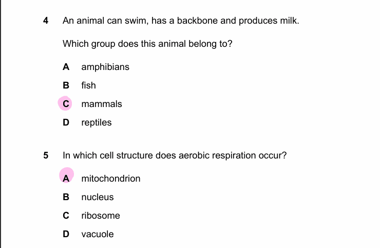 Example of a mcq paper with answers evaluation